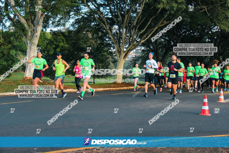 Brasil Corridas - Run 15km - Londrina