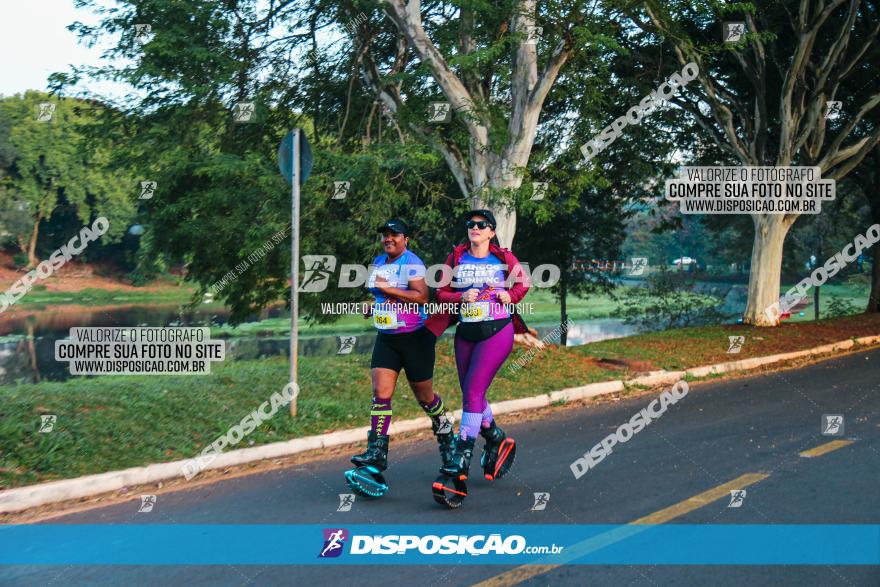 Brasil Corridas - Run 15km - Londrina