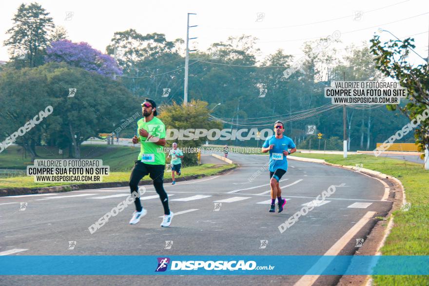 Brasil Corridas - Run 15km - Londrina