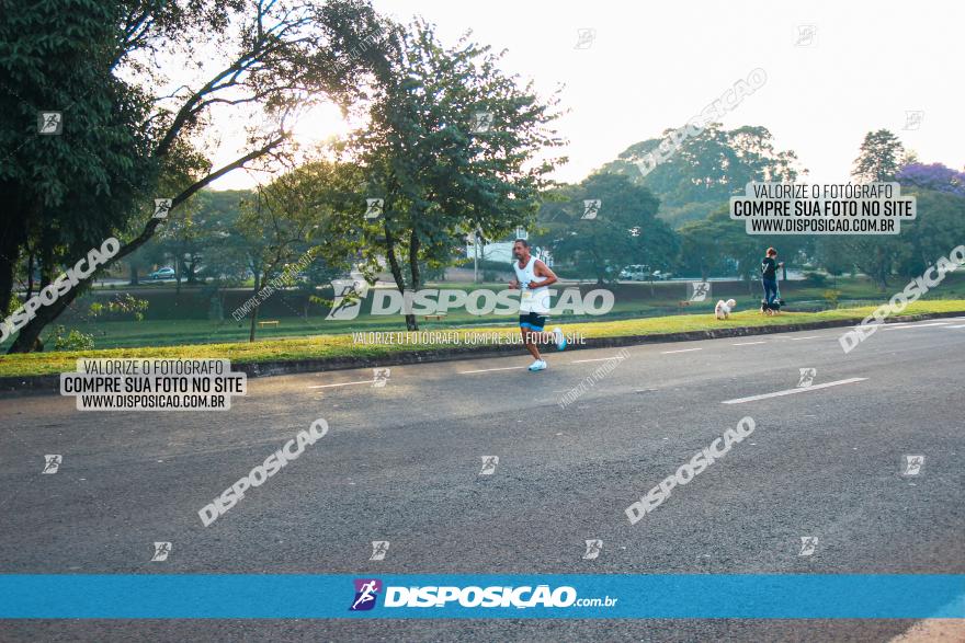 Brasil Corridas - Run 15km - Londrina