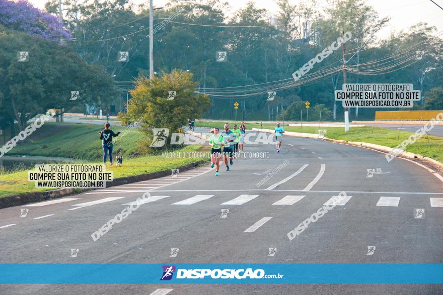 Brasil Corridas - Run 15km - Londrina