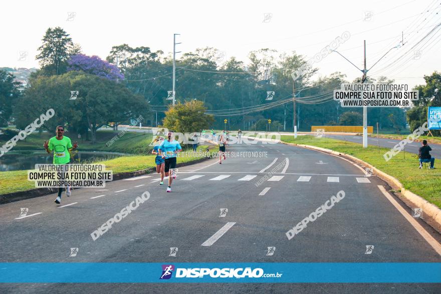 Brasil Corridas - Run 15km - Londrina