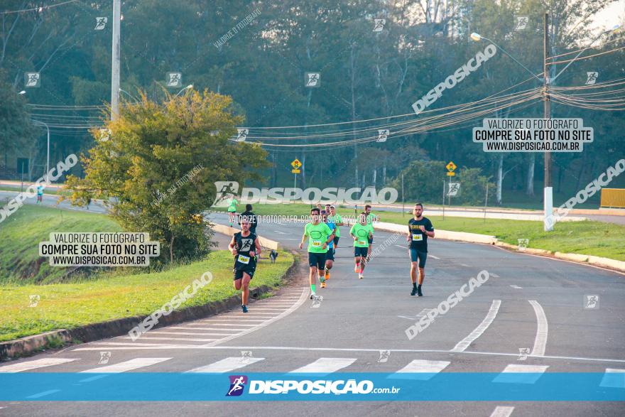 Brasil Corridas - Run 15km - Londrina