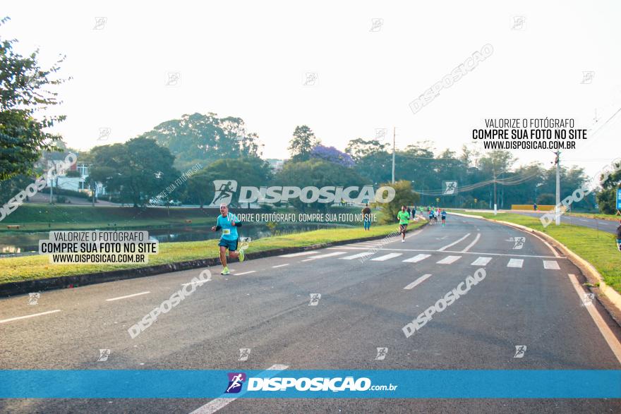 Brasil Corridas - Run 15km - Londrina