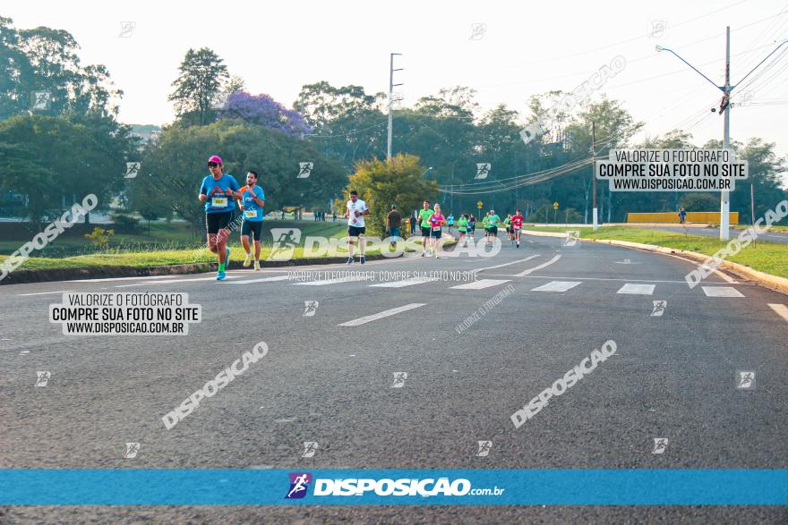 Brasil Corridas - Run 15km - Londrina