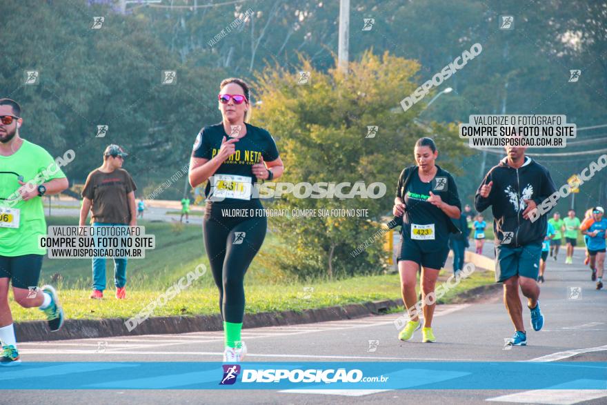 Brasil Corridas - Run 15km - Londrina