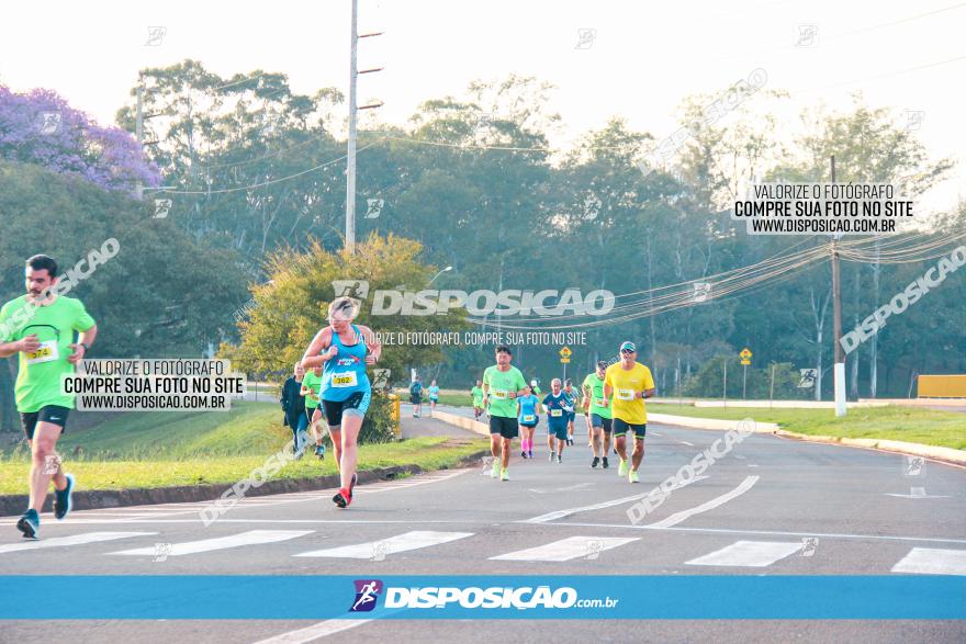 Brasil Corridas - Run 15km - Londrina