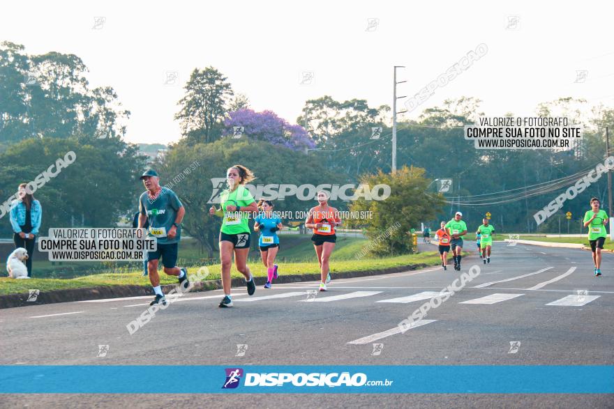 Brasil Corridas - Run 15km - Londrina