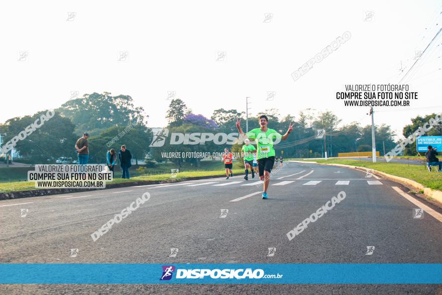 Brasil Corridas - Run 15km - Londrina