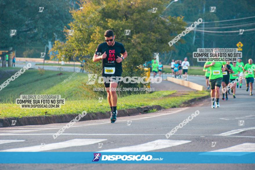 Brasil Corridas - Run 15km - Londrina