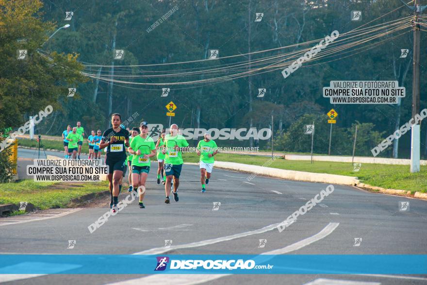 Brasil Corridas - Run 15km - Londrina