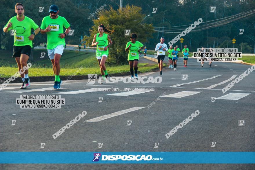 Brasil Corridas - Run 15km - Londrina