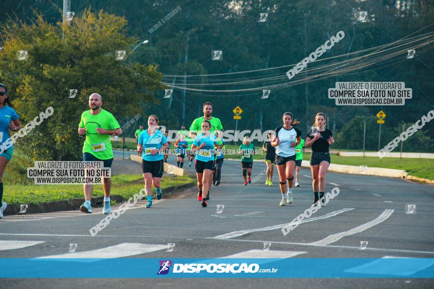 Brasil Corridas - Run 15km - Londrina