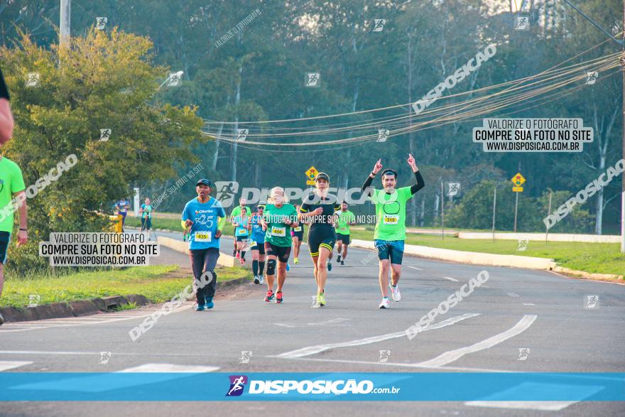 Brasil Corridas - Run 15km - Londrina