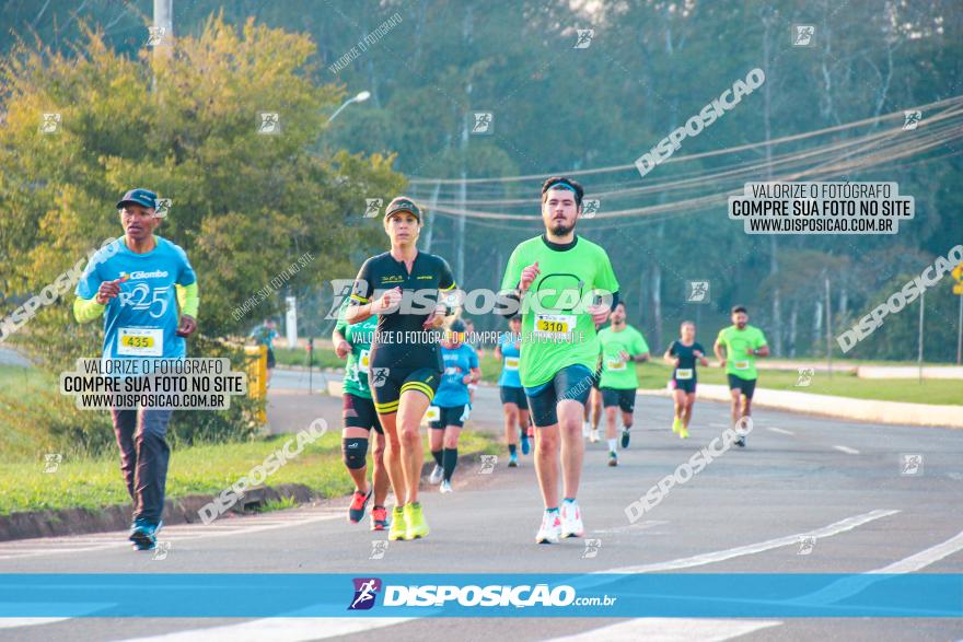 Brasil Corridas - Run 15km - Londrina