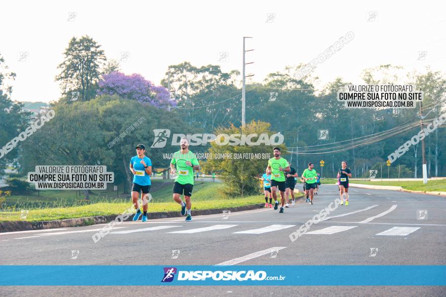 Brasil Corridas - Run 15km - Londrina