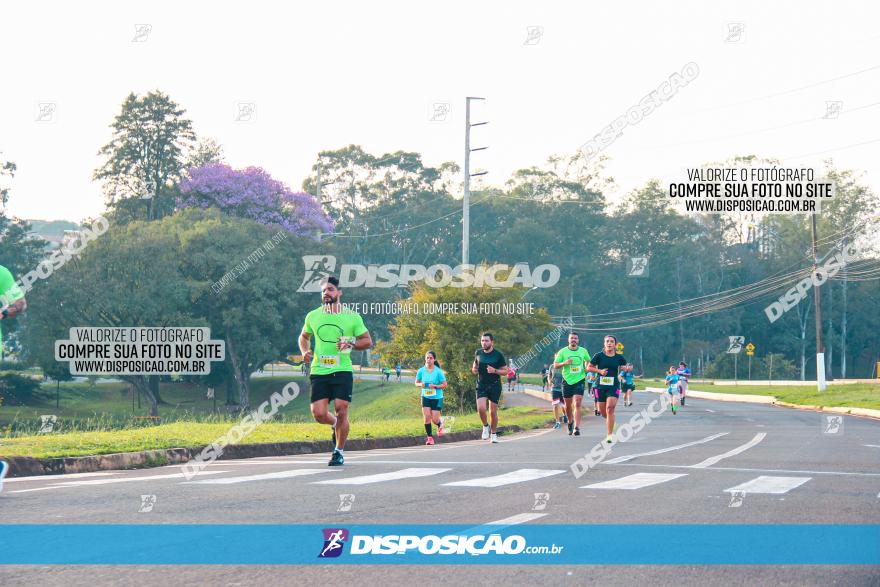 Brasil Corridas - Run 15km - Londrina