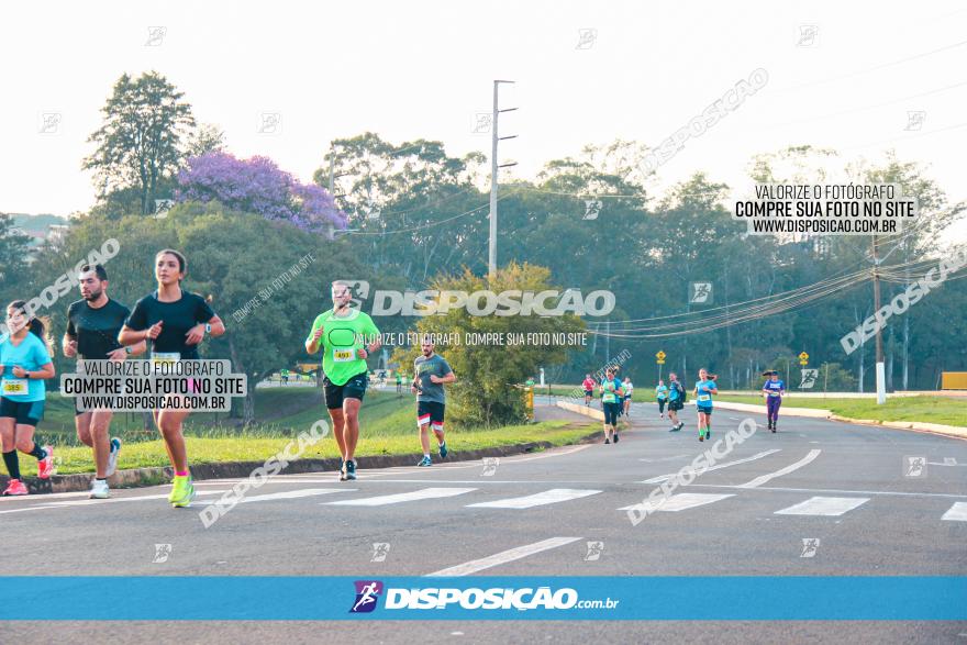 Brasil Corridas - Run 15km - Londrina