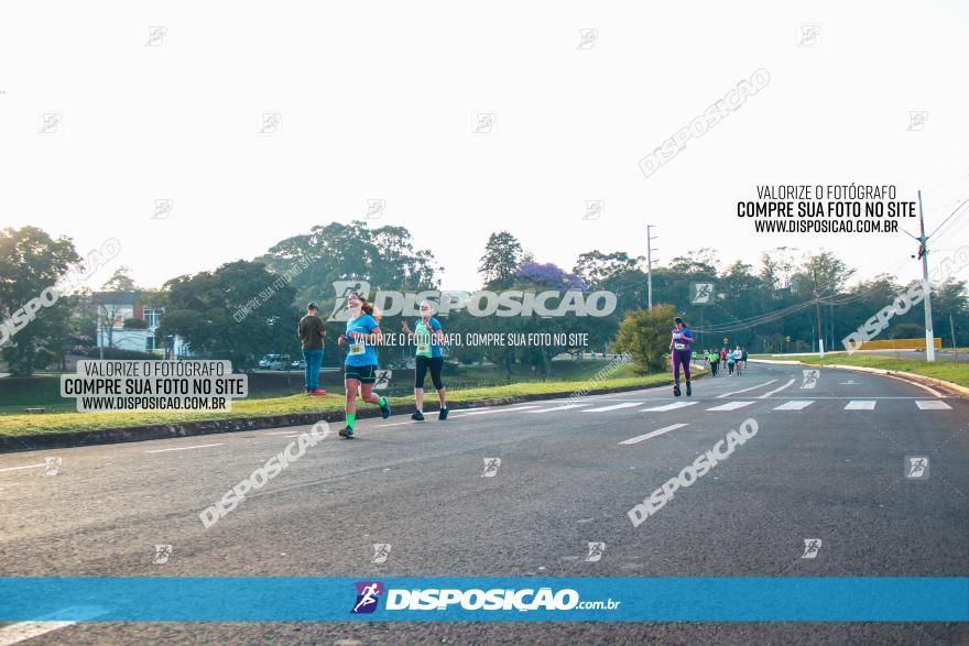 Brasil Corridas - Run 15km - Londrina