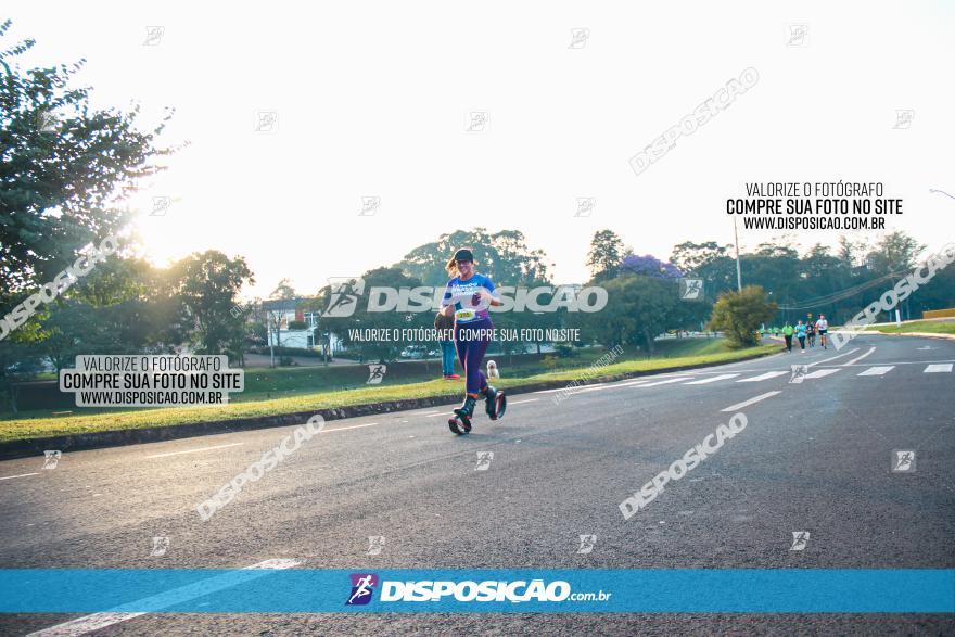 Brasil Corridas - Run 15km - Londrina