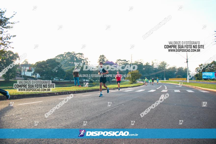 Brasil Corridas - Run 15km - Londrina