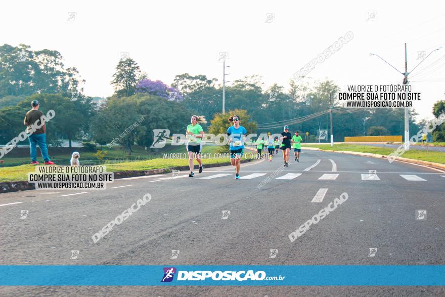 Brasil Corridas - Run 15km - Londrina