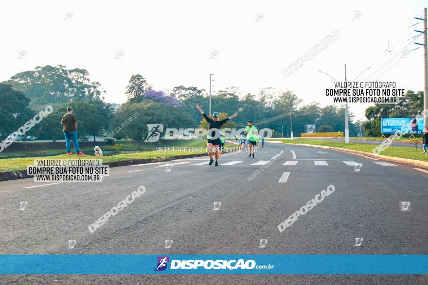 Brasil Corridas - Run 15km - Londrina