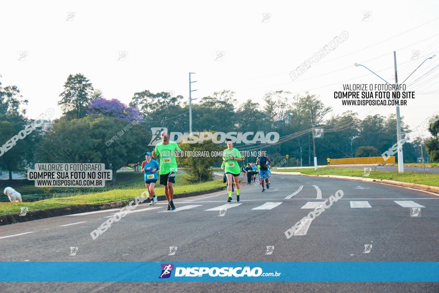 Brasil Corridas - Run 15km - Londrina