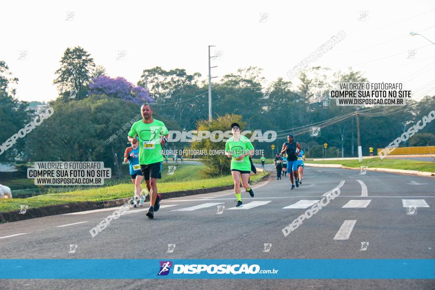 Brasil Corridas - Run 15km - Londrina