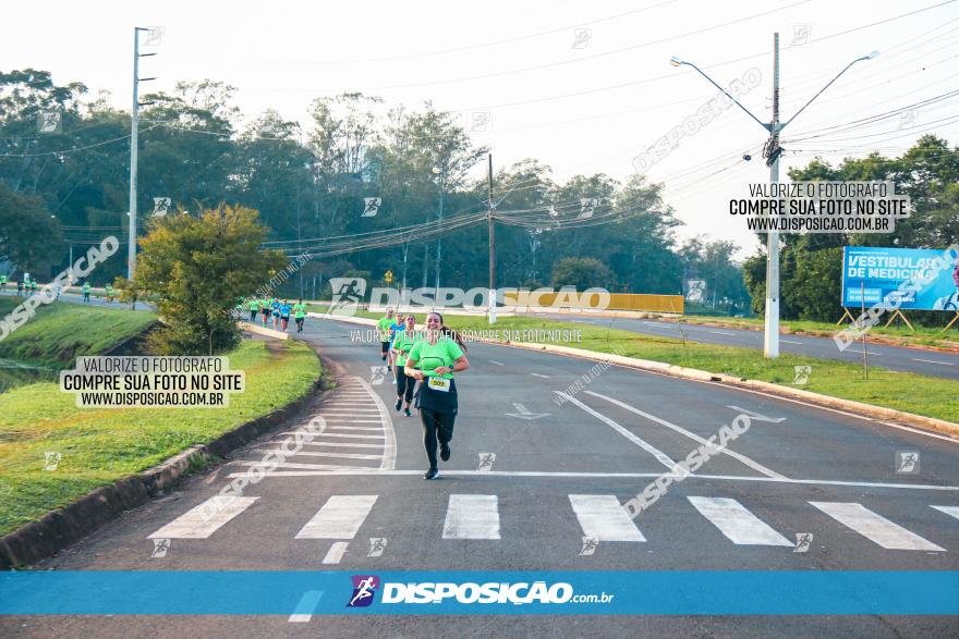 Brasil Corridas - Run 15km - Londrina