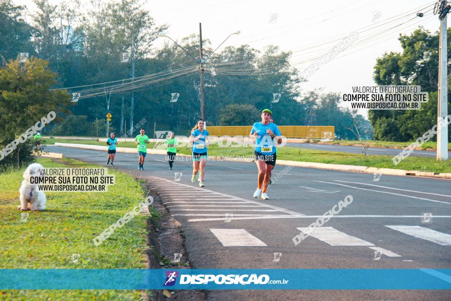 Brasil Corridas - Run 15km - Londrina