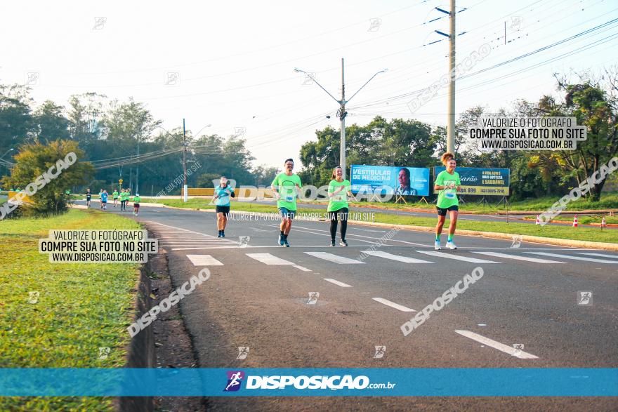 Brasil Corridas - Run 15km - Londrina