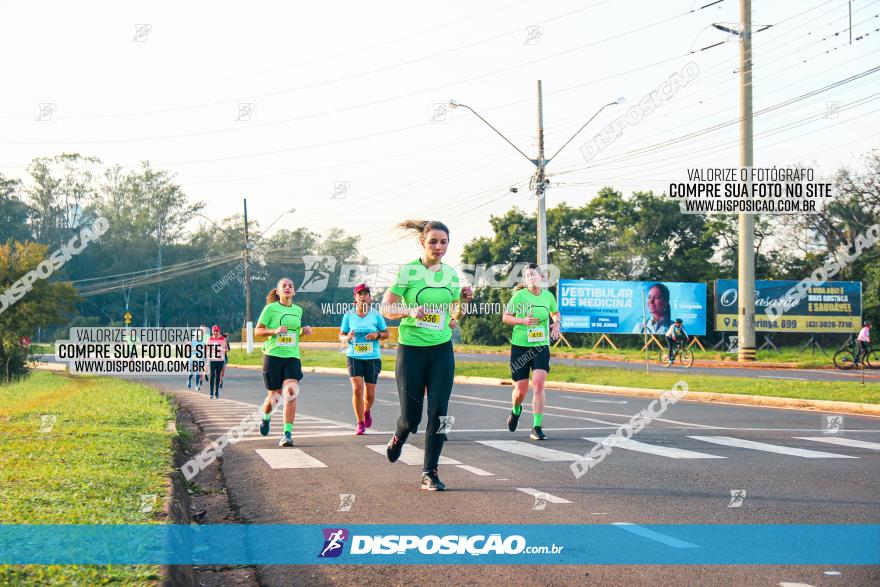 Brasil Corridas - Run 15km - Londrina