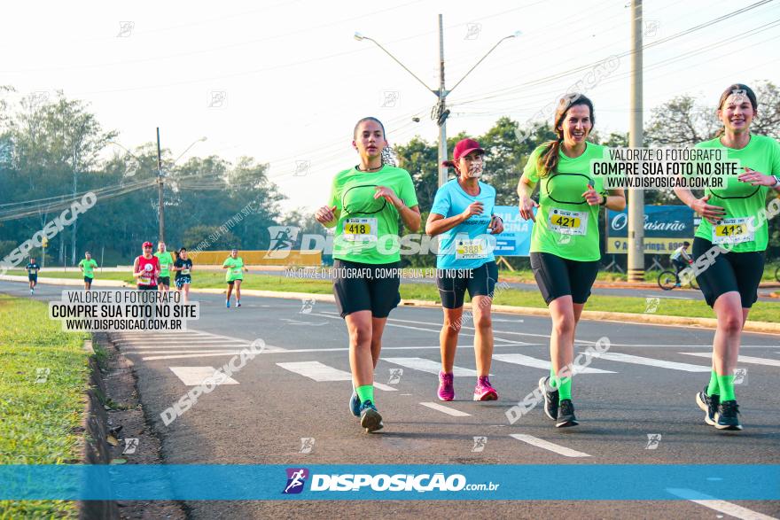 Brasil Corridas - Run 15km - Londrina