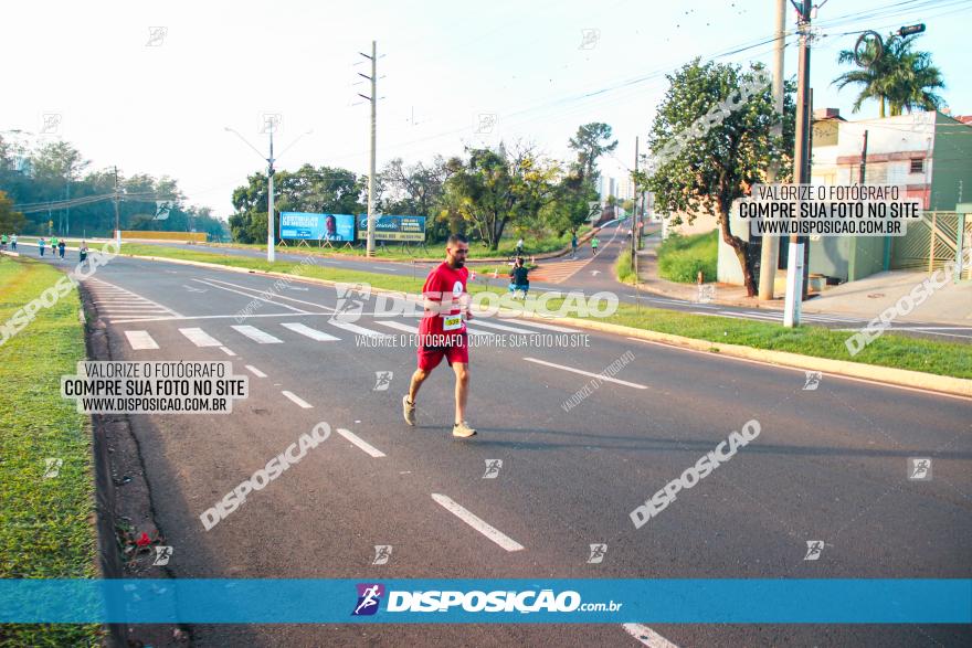 Brasil Corridas - Run 15km - Londrina