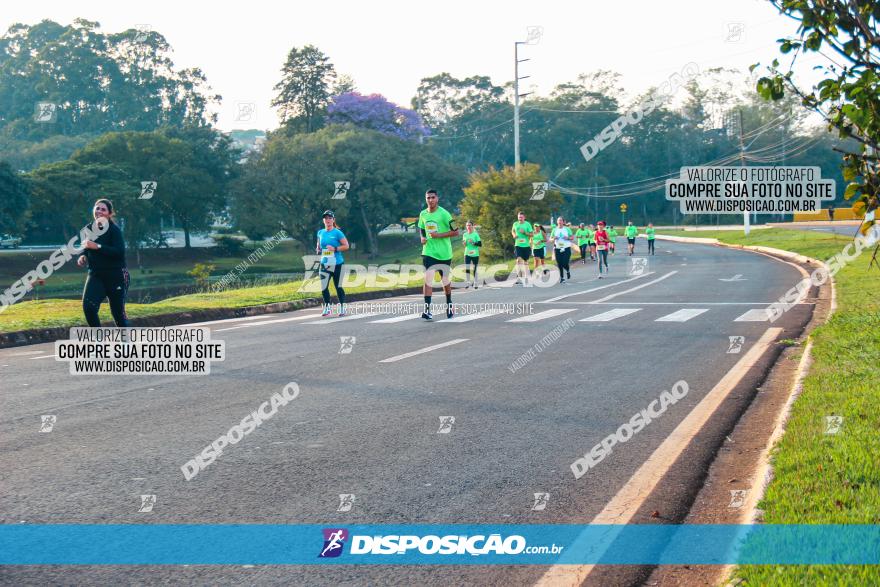 Brasil Corridas - Run 15km - Londrina