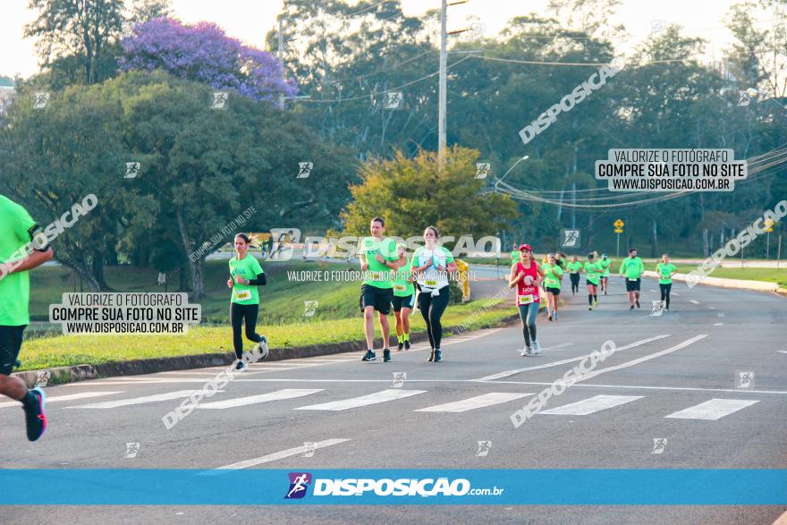 Brasil Corridas - Run 15km - Londrina