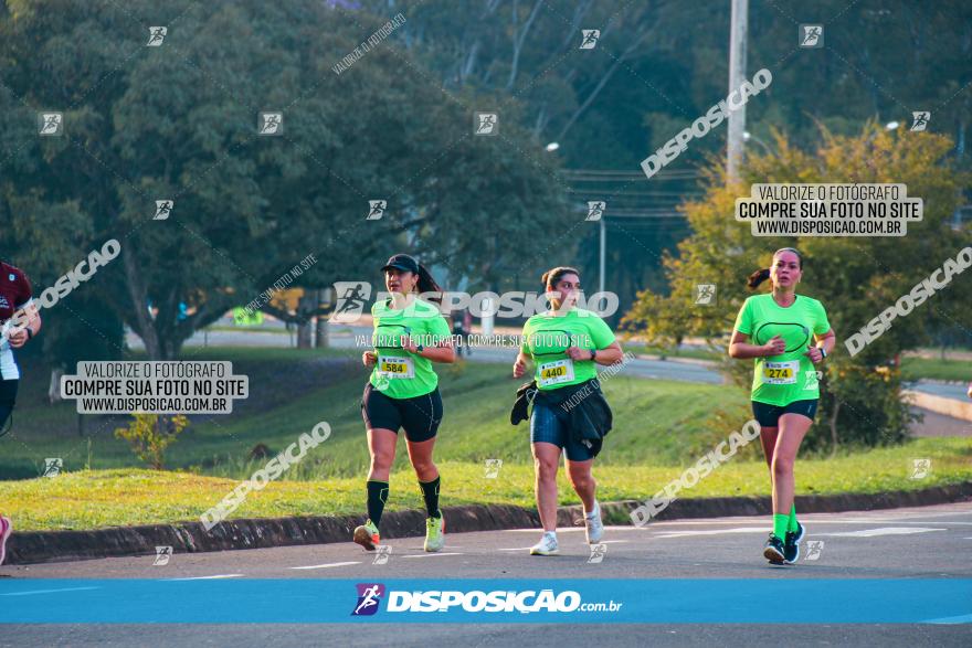 Brasil Corridas - Run 15km - Londrina