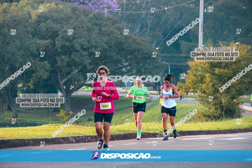 Brasil Corridas - Run 15km - Londrina