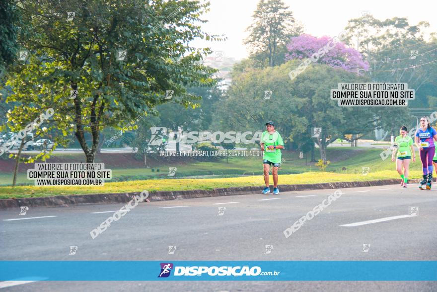 Brasil Corridas - Run 15km - Londrina