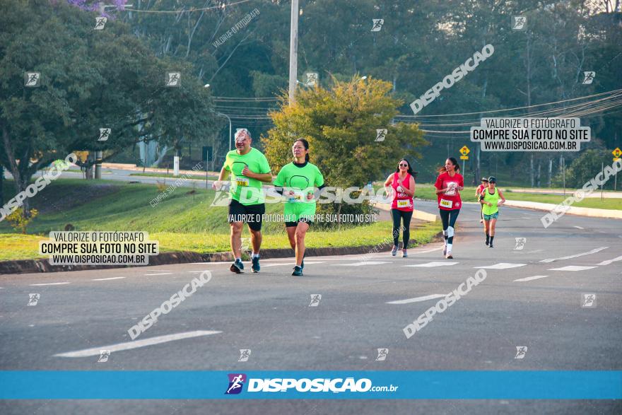 Brasil Corridas - Run 15km - Londrina