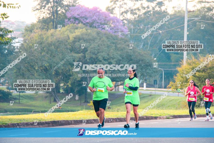 Brasil Corridas - Run 15km - Londrina