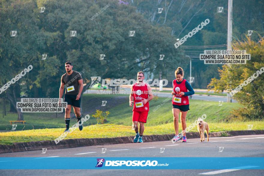 Brasil Corridas - Run 15km - Londrina