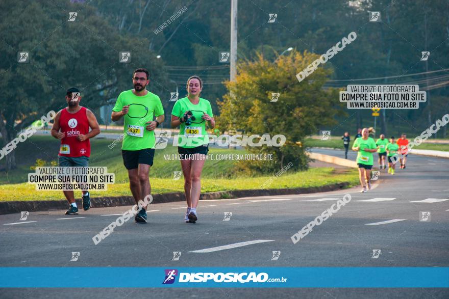 Brasil Corridas - Run 15km - Londrina