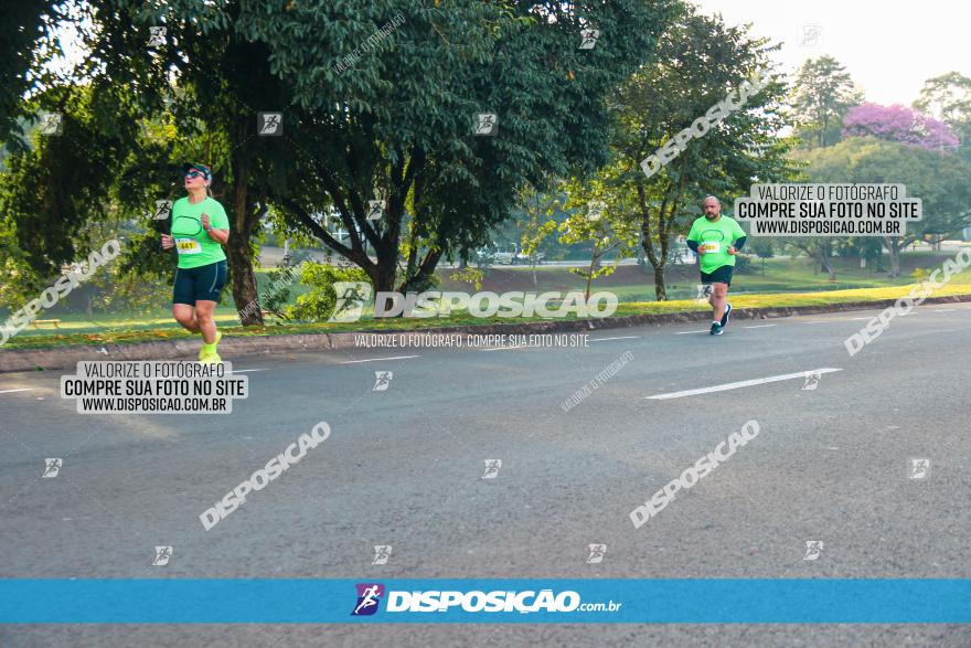 Brasil Corridas - Run 15km - Londrina