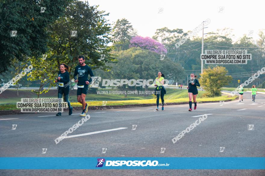 Brasil Corridas - Run 15km - Londrina