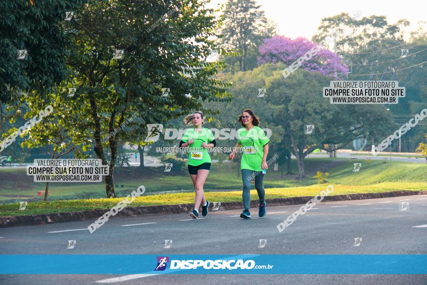 Brasil Corridas - Run 15km - Londrina