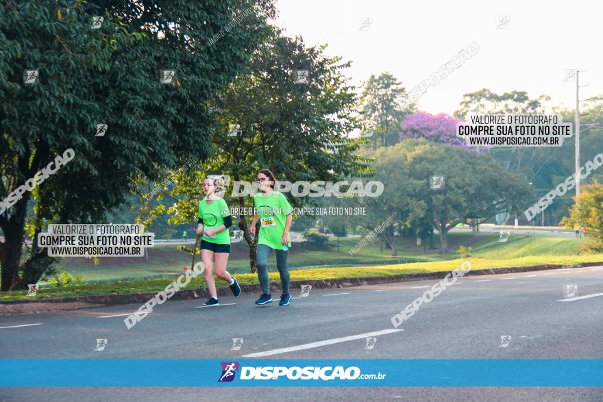 Brasil Corridas - Run 15km - Londrina