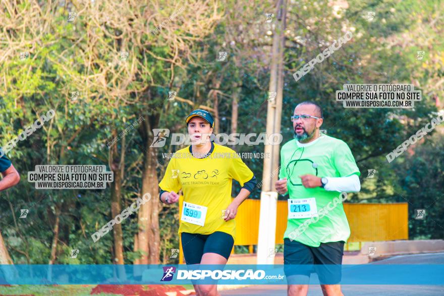 Brasil Corridas - Run 15km - Londrina