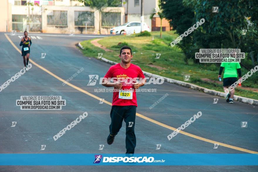 Brasil Corridas - Run 15km - Londrina